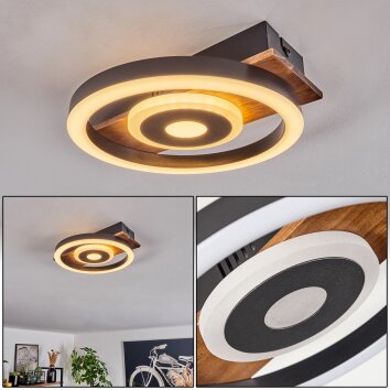 SCHÖNER WOHNEN-Kollektion Deckenleuchte Loop LED Schwarz 820093