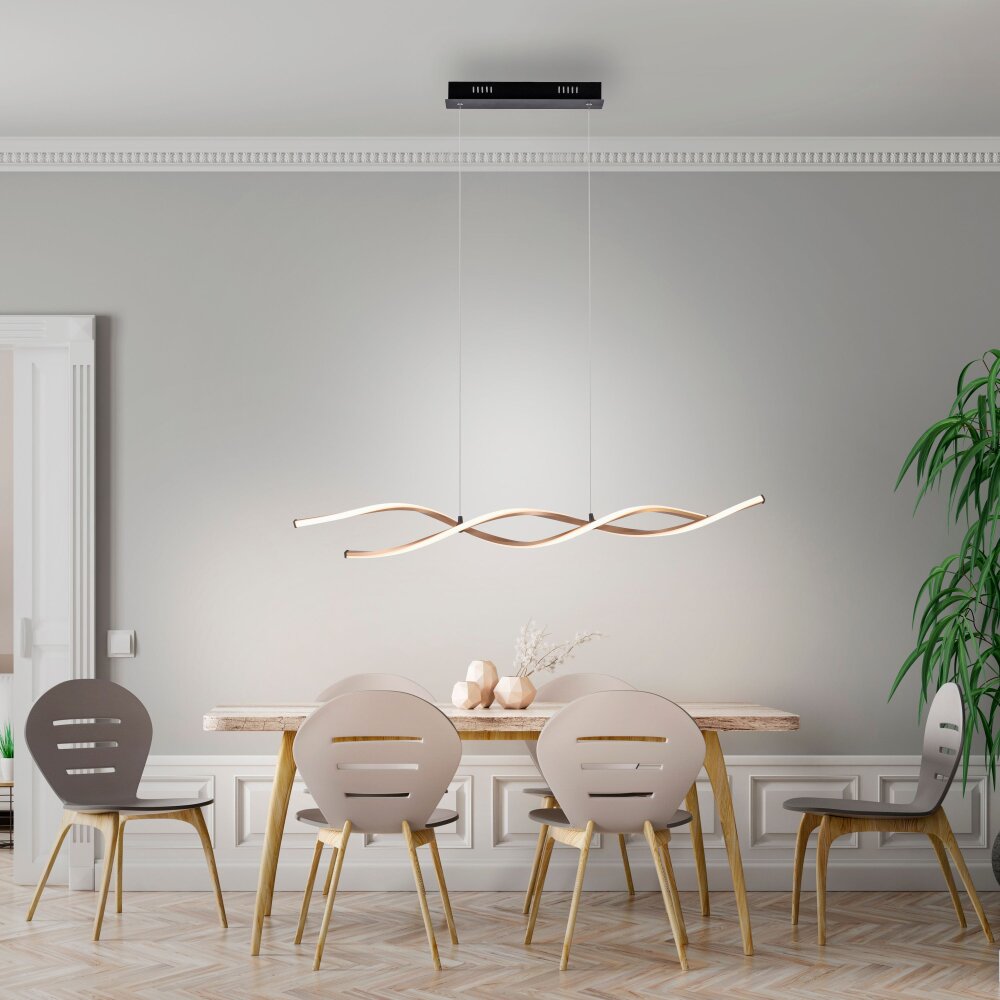 Paul Neuhaus POLINA Pendelleuchte LED Schwarz, 1-flammig main product photo