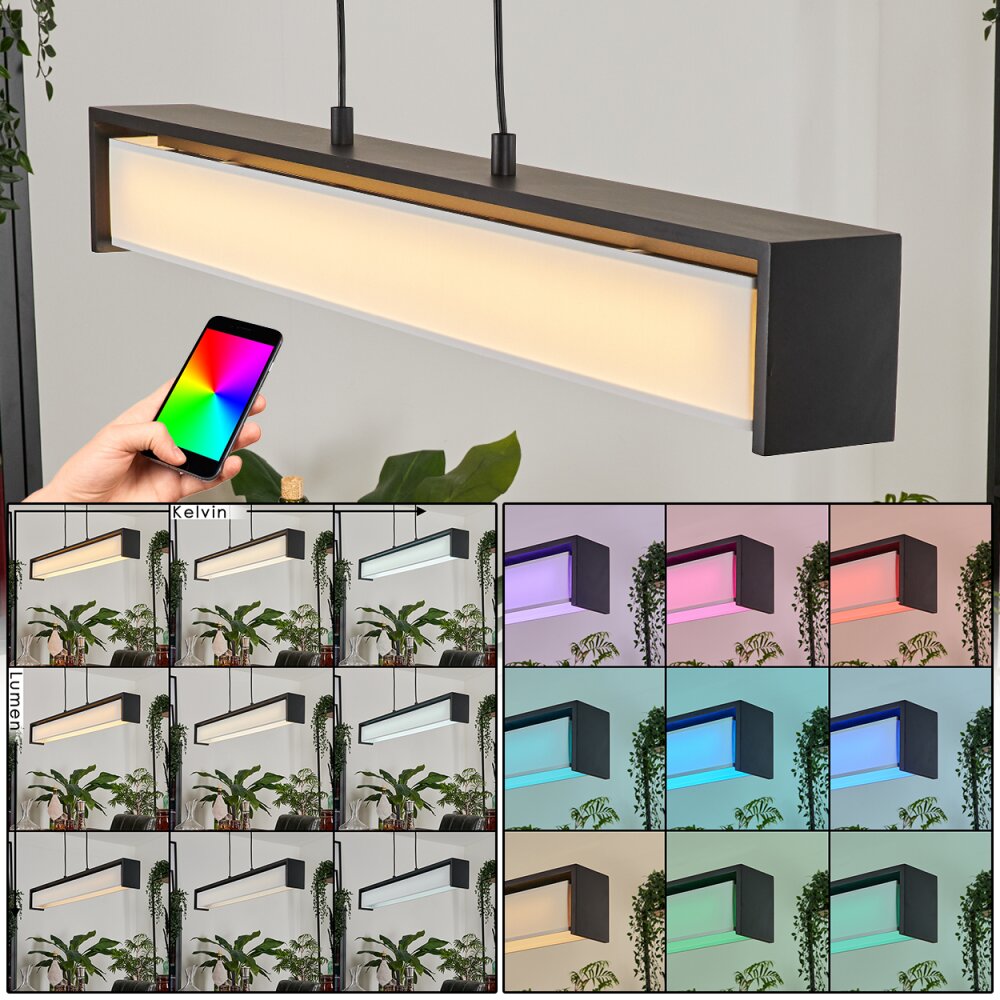 Siders Pendelleuchte LED Schwarz, 1-flammig, Farbwechsler main product photo