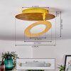 Sunrise Deckenleuchte LED Gold, 1-flammig