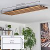 Favorina Deckenpanel LED Naturfarben, Schwarz, 1-flammig