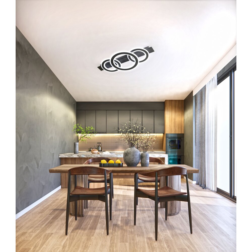 Fischer & Honsel Circle Deckenleuchte LED Schwarz, 1-flammig, Fernbedienung main product photo