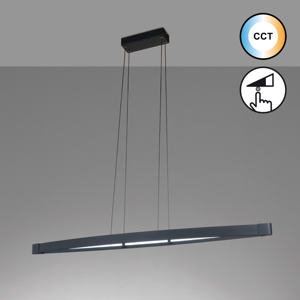 Fischer & Honsel Fenga Pendelleuchte LED Schwarz, 1-flammig main product photo