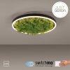 JUST LIGHT GERDA RITUS Deckenleuchte LED Schwarz, 1-flammig