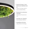 JUST LIGHT GERDA RITUS Deckenleuchte LED Schwarz, 1-flammig