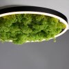 JUST LIGHT GERDA RITUS Deckenleuchte LED Schwarz, 1-flammig