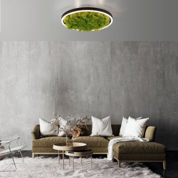 JUST LIGHT GERDA RITUS Deckenleuchte LED Schwarz, 1-flammig