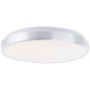 Brilliant Livius Deckenleuchte LED Silber, 1-flammig