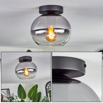 Apedo Deckenleuchte Glas 20 cm Klar, Rauchfarben, 1-flammig