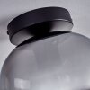 Apedo Deckenleuchte Glas 20 cm Klar, Rauchfarben, 1-flammig