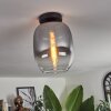 Apedo Deckenleuchte Glas 20 cm Klar, Rauchfarben, 1-flammig