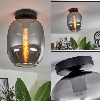Apedo Deckenleuchte Glas 20 cm Rauchfarben, 1-flammig