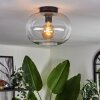 Apedo Deckenleuchte Glas 30cm Klar, 1-flammig