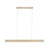 Paul Neuhaus NANIA Pendelleuchte LED Gold, 1-flammig