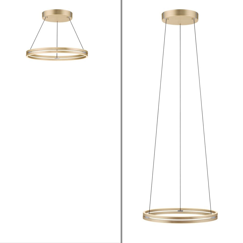 Paul Neuhaus PURE E-LOOP Pendelleuchte LED Gold, 2-flammig, Fernbedienung