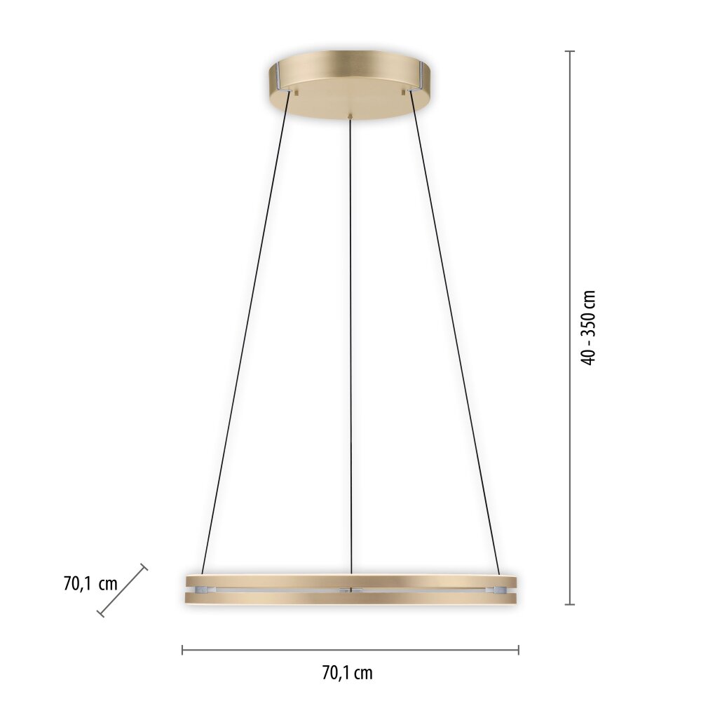 Paul Neuhaus PURE E-LOOP Pendelleuchte LED Gold, 2-flammig, Fernbedienung