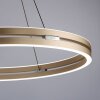 Paul Neuhaus PURE E-LOOP Pendelleuchte LED Gold, 2-flammig, Fernbedienung