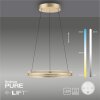 Paul Neuhaus PURE E-LOOP Pendelleuchte LED Gold, 2-flammig, Fernbedienung