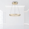 Paul Neuhaus PURE E-LOOP Pendelleuchte LED Gold, 2-flammig, Fernbedienung