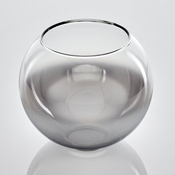 Koyoto Ersatzglas 15 cm Chrom, Klar, Rauchfarben