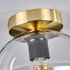Apedo Deckenleuchte Glas 20 cm Gold, Schwarz, 1-flammig