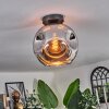 Ripoll Deckenleuchte Glas 25 cm Chrom, 1-flammig