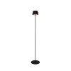 Reality SUAREZ Stehlampe LED Schwarz, 1-flammig