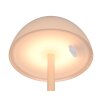 Reality RICARDO Tischleuchte LED Beige, 1-flammig