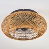 Fallhagen Deckenventilator Schwarz, 4-flammig, Fernbedienung