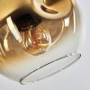 Ripoll Pendelleuchte Glas 15 cm Gold, Klar, 4-flammig