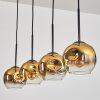 Ripoll Pendelleuchte Glas 15 cm Gold, Klar, 4-flammig