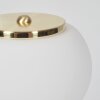 Izenave Tischleuchte Gold, 1-flammig Izenave Tischleuchte Gold, 1-flammig