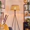 Barcos Stehleuchte 45 cm beige, Naturfarben, 1-flammig