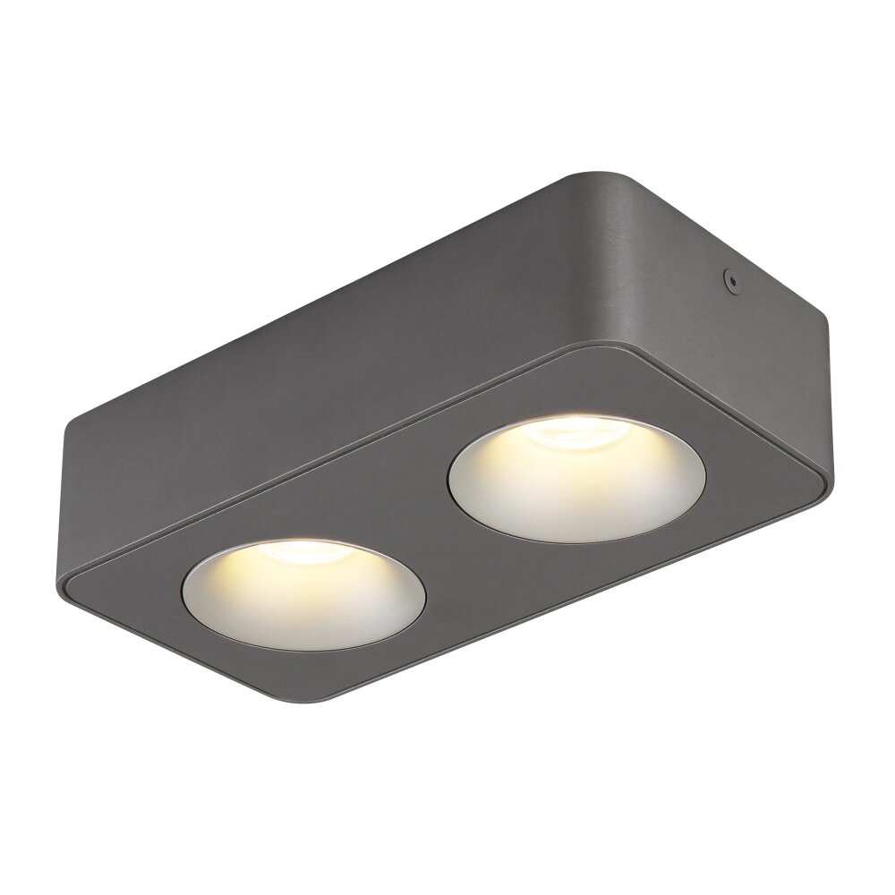 Globo Hangarau Deckenleuchte LED Grau, 1-flammig main product photo