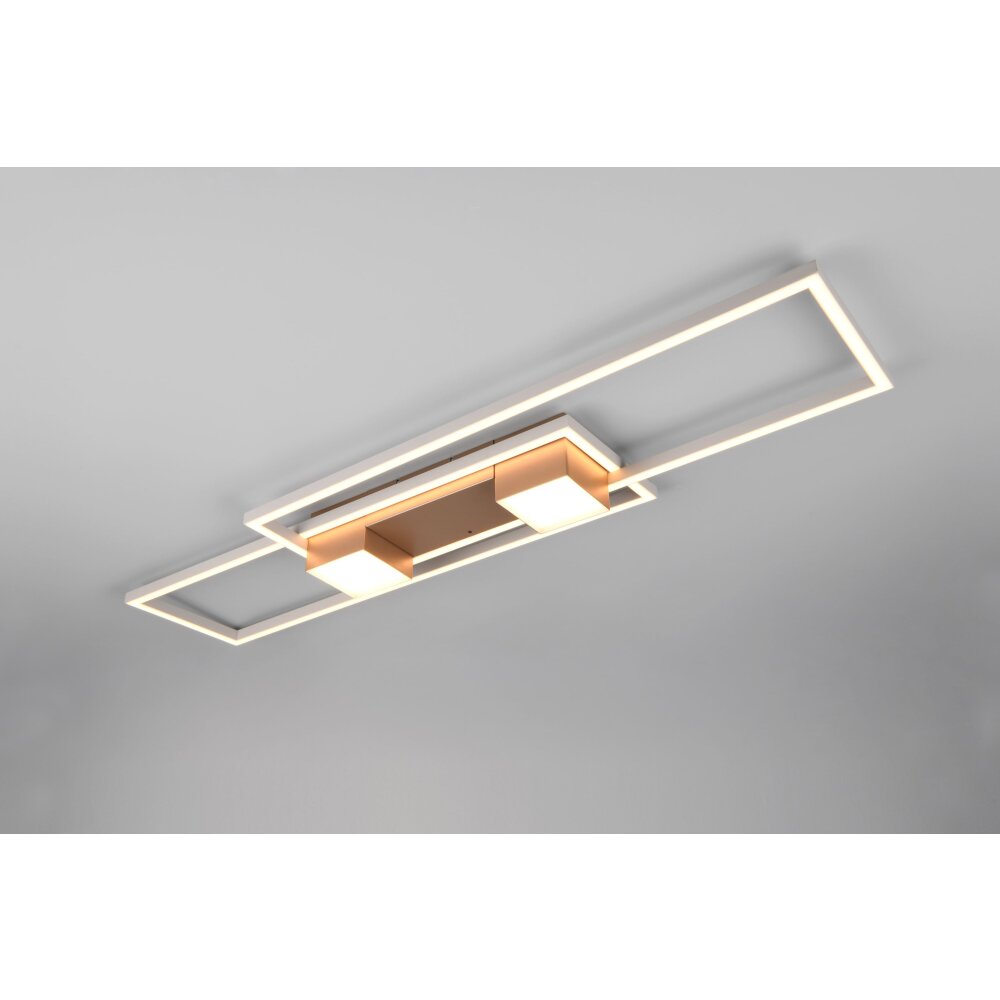 Trio ALBANY Deckenleuchte LED Braun, 1-flammig, Fernbedienung main product photo