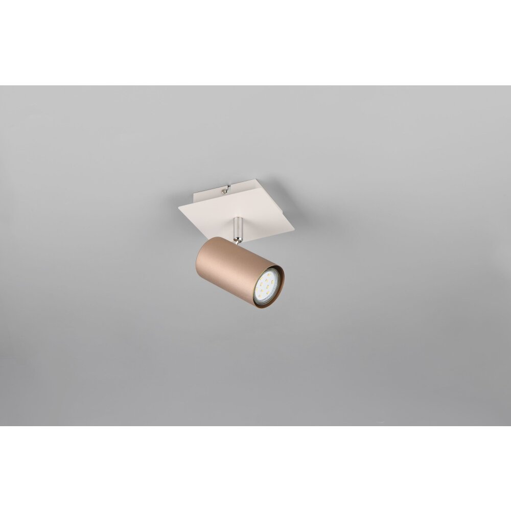 Trio Marley Deckenspot Braun, 1-flammig main product photo