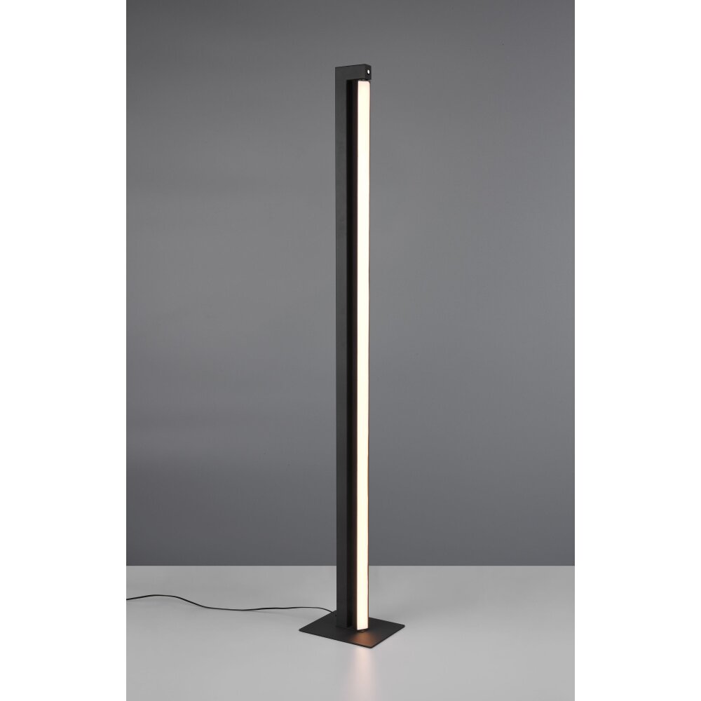 Trio Seeker Stehlampe LED Schwarz, 1-flammig main product photo