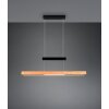 Trio Trajan Pendelleuchte LED Schwarz, 1-flammig