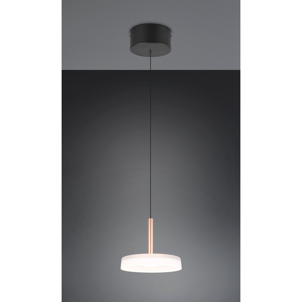 Trio Celeste Pendelleuchte LED Braun, 1-flammig main product photo