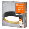 LEDVANCE SMART WIFI ORBIS Wand- und Deckenleuchte Gold, Schwarz, 1-flammig LEDVANCE SMART WIFI ORBIS Wand- und Deckenleuchte Gold, Schwarz, 1-flammig
