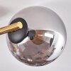 Gastor Deckenleuchte Glas 15 cm Gold, Schwarz, 3-flammig