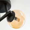 Chehalis Deckenleuchte Glas 10 cm Bernsteinfarben, 3-flammig