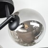 Chehalis Deckenleuchte Glas 15 cm Rauchfarben, 3-flammig