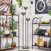 Gastor Stehleuchte Glas 15 cm Schwarz, 3-flammig