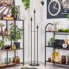 Gastor Stehleuchte Glas 15 cm Schwarz, 3-flammig