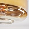 Boza Deckenleuchte Glas 28 cm Gold, Klar, 1-flammig