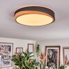 Hiral Deckenleuchte LED Naturfarben, Schwarz, 1-flammig