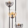 Gastor Stehleuchte Glas 15 cm Holz dunkel, Schwarz, 4-flammig