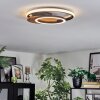 Rapoila Deckenleuchte LED Holzoptik, Schwarz, 1-flammig