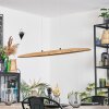 Fugelsta Pendelleuchte LED Schwarz, 1-flammig